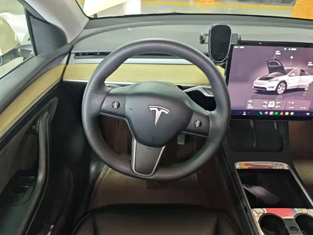 Tesla Model Y — Фото автомобиля 10