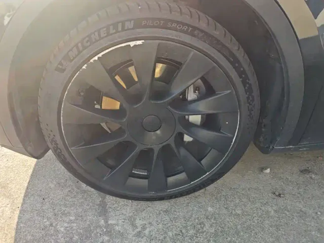 Tesla Model Y — Фото автомобиля 22