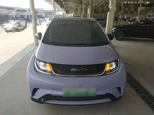 BYD Dolphin — Фото автомобиля 2
