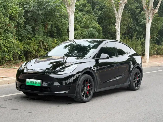 Tesla Model Y — Фото автомобиля 3