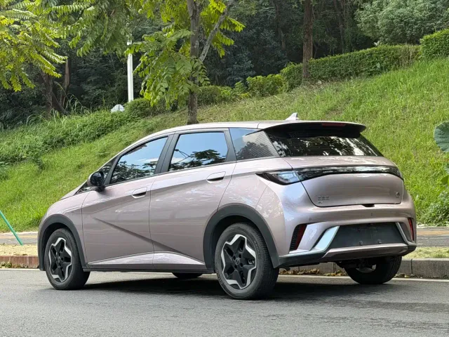 BYD Dolphin — Фото автомобиля 4