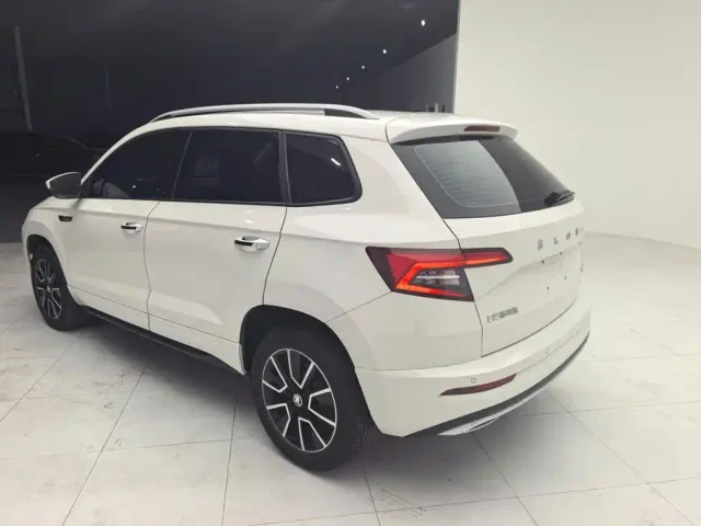 Skoda Karoq — Фото автомобиля 5