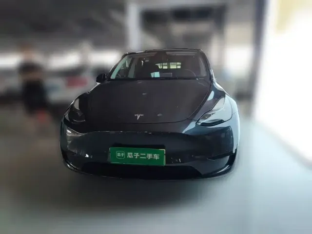 Tesla Model Y — Фото автомобиля 2