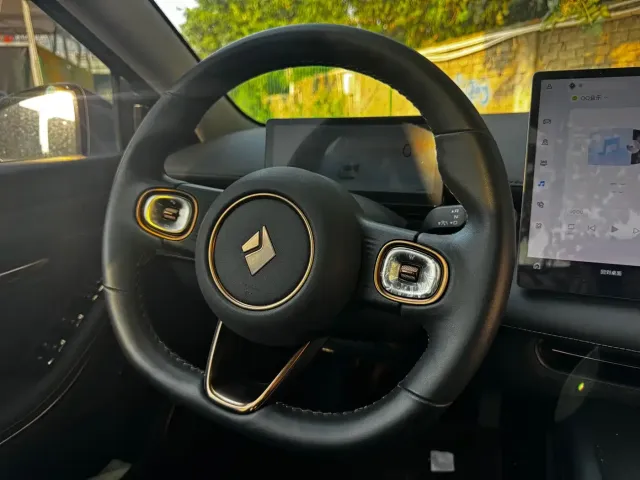 Baojun Baojun Enjoyment 2025 BEV 600km Chauffeur Edition — Фото автомобиля 7