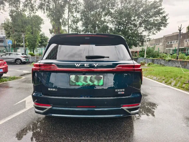 Wey Lanshan — Фото автомобиля 5