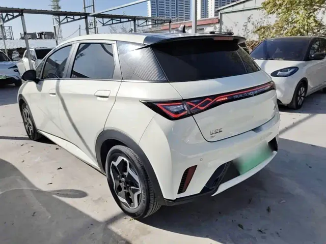 BYD Dolphin — Фото автомобиля 4