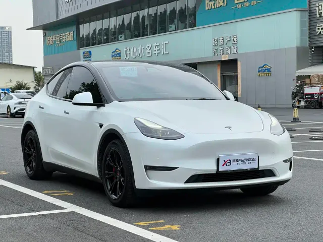 Tesla Model Y 2021 Standard Range Rear-Wheel Drive — Фото автомобиля 2