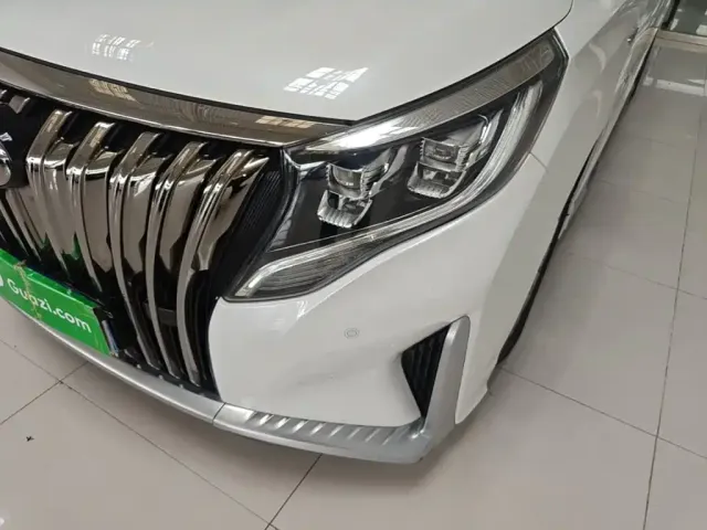 GAC Trumpchi M8 — Фото автомобиля 23