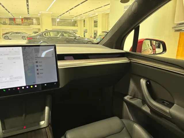 Tesla Model X — Фото автомобиля 9