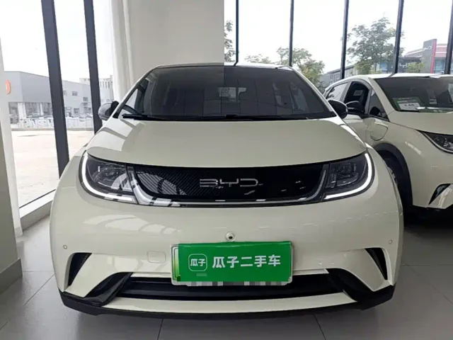 BYD Dolphin — Фото автомобиля 2