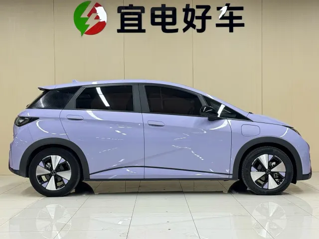 BYD Dolphin — Фото автомобиля 4