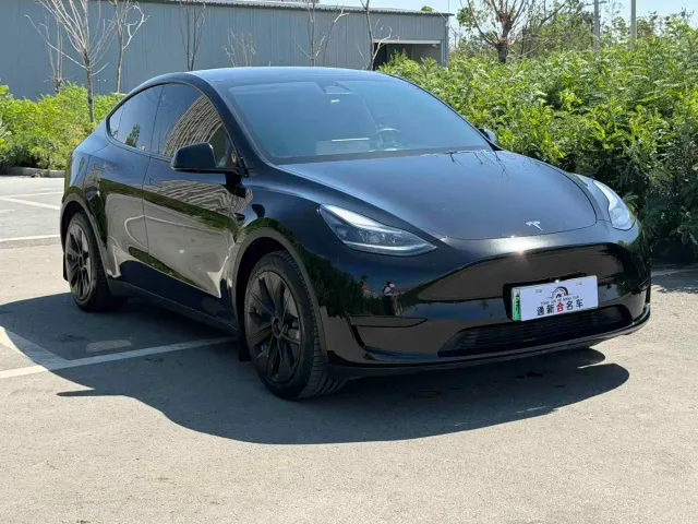 Tesla Model Y — Фото автомобиля 3