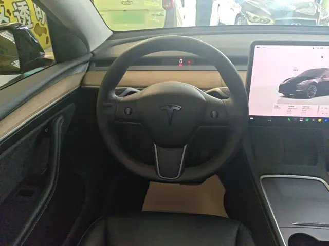 Tesla Model Y — Фото автомобиля 10