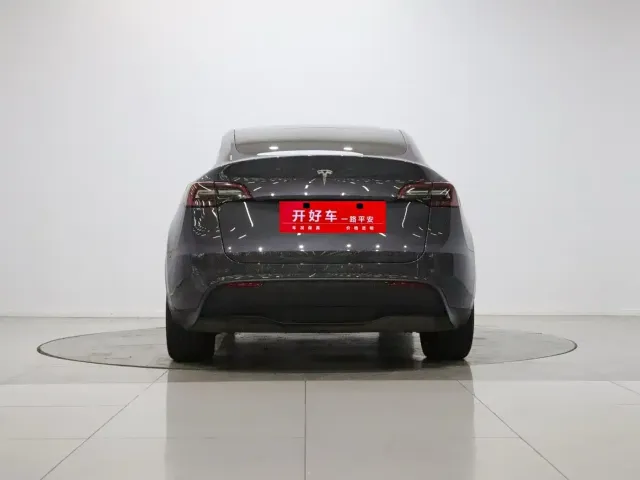 Tesla Model Y — Фото автомобиля 4