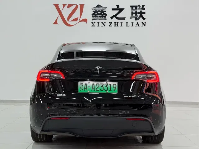 Tesla Model Y — Фото автомобиля 6