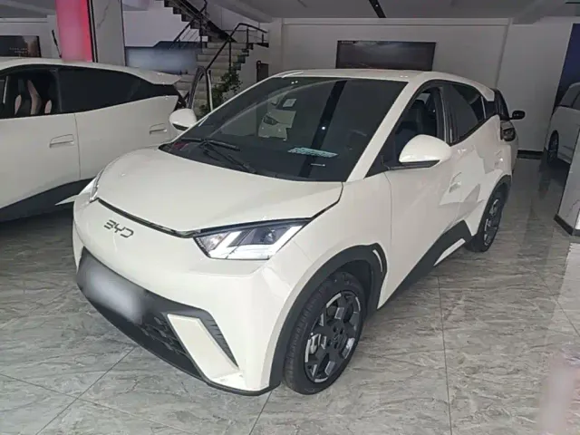 Фотография автомобиля — BYD Seagull