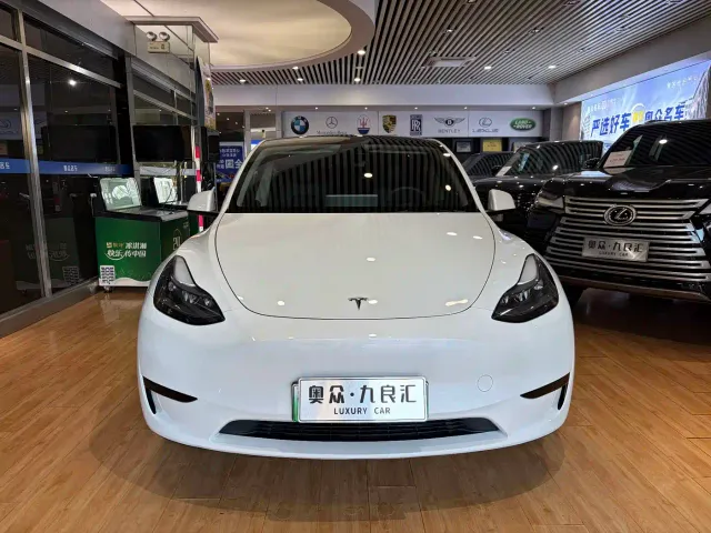 Tesla Model Y — Фото автомобиля 2