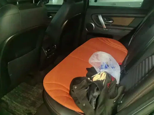 Land Rover Discovery Sport — Фото автомобиля 11