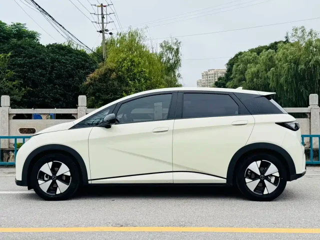 BYD Dolphin — Фото автомобиля 4