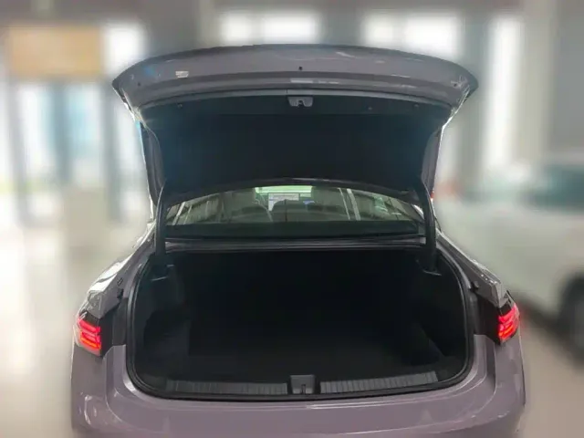 Volkswagen Passat — Фото автомобиля 23