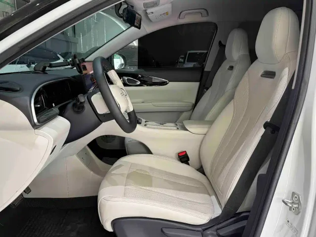 Geely Starry Wish — Фото автомобиля 4