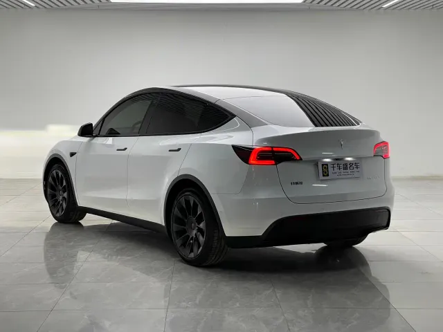 Tesla Model Y — Фото автомобиля 4