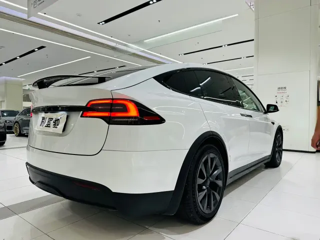 Tesla Model X — Фото автомобиля 17