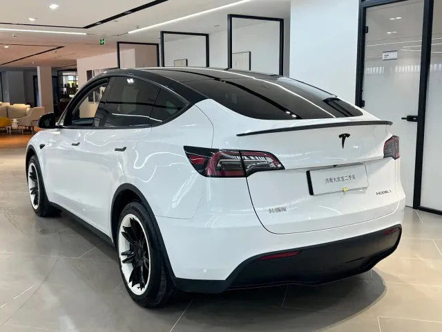 Tesla Model Y — Фото автомобиля 13