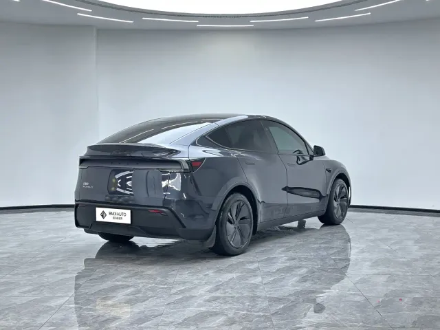 Tesla Model Y — Фото автомобиля 5