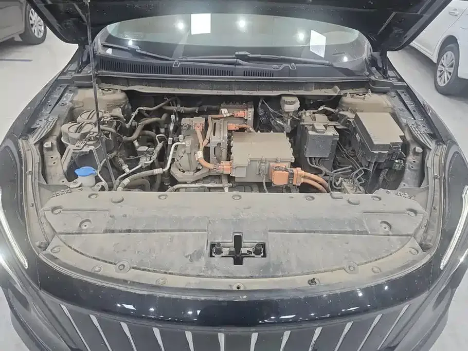 Hongqi Hongqi E-QM5 2024 Model 610km PLUS — Фото автомобиля 10