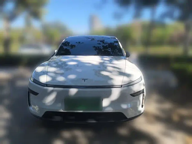 Tesla Model Y — Фото автомобиля 23