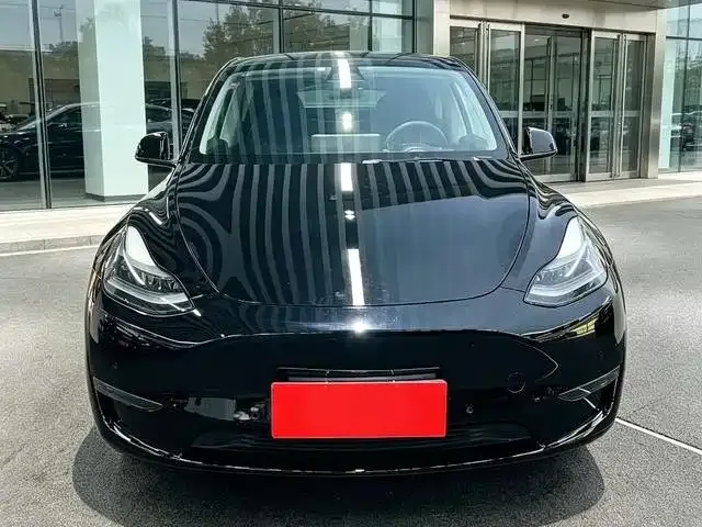 Tesla Model Y — Фото автомобиля 2