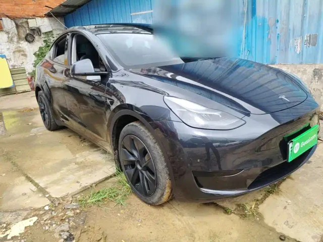Tesla Model Y — Фото автомобиля 3