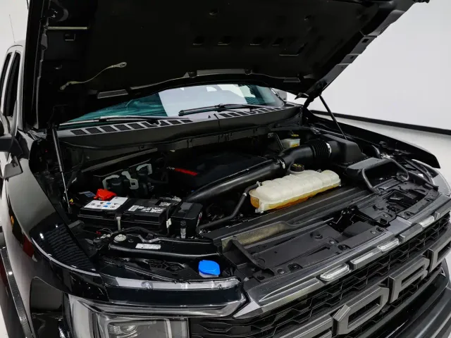 Ford F-150 Raptor — Фото автомобиля 21