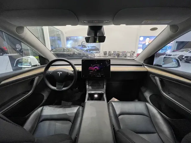 Tesla Model Y — Фото автомобиля 9