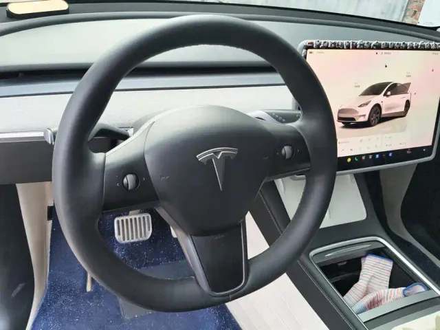 Tesla Model Y — Фото автомобиля 15