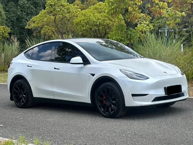 Tesla Model Y — Фото автомобиля 3