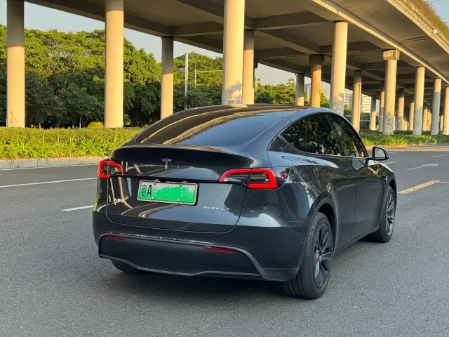 Tesla Model Y — Фото автомобиля 3
