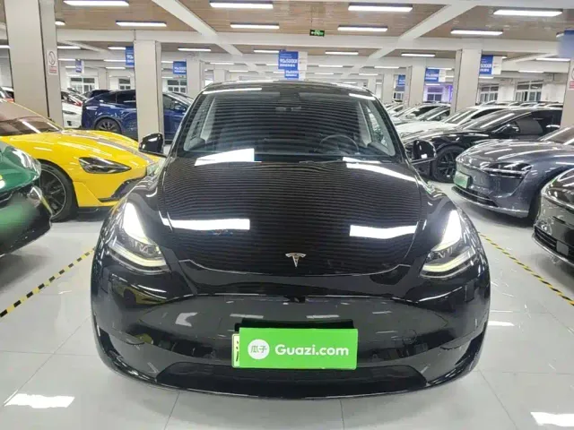 Tesla Model Y — Фото автомобиля 2