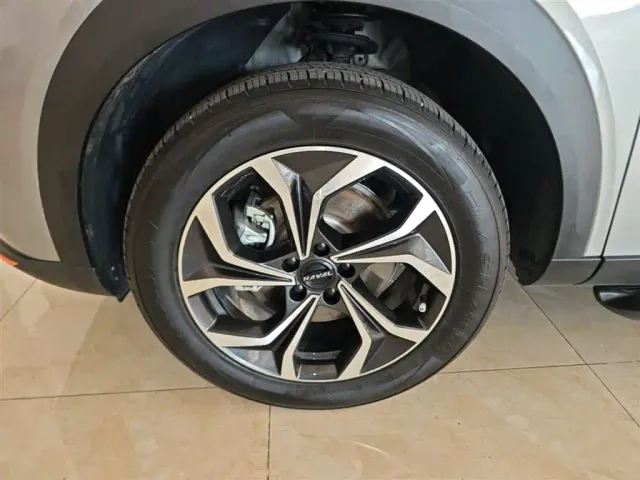 Haval Shenshou — Фото автомобиля 22