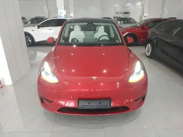 Tesla Model Y — Фото автомобиля 2
