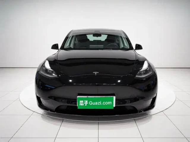 Tesla Model Y — Фото автомобиля 2