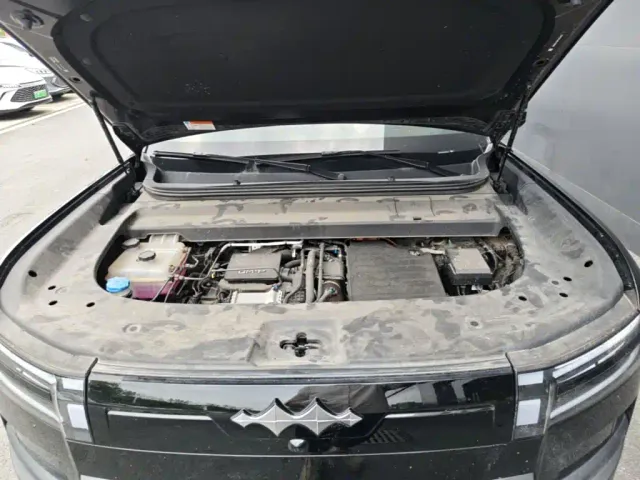 BYD FangChengBao Titanium 7 — Фото автомобиля 19