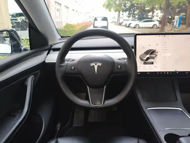 Tesla Model Y — Фото автомобиля 10