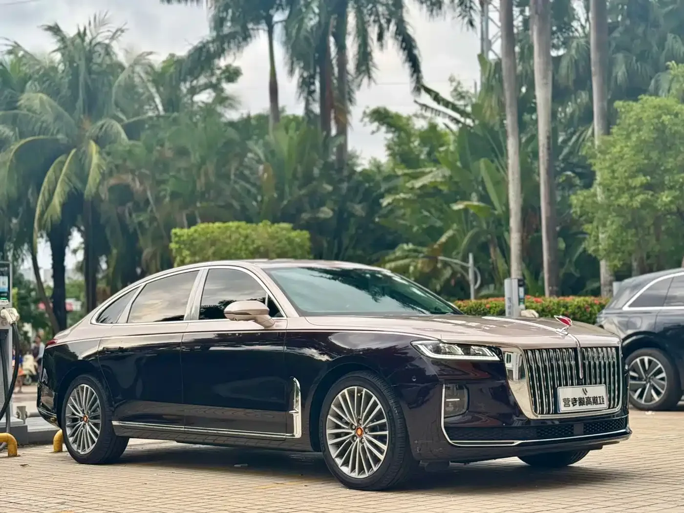 Hongqi Hongqi H9 2020 Facelift 2.0T Smart Connect Flagship — Фото автомобиля 3