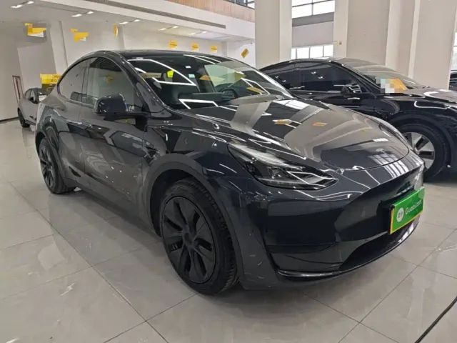 Tesla Model Y — Фото автомобиля 3