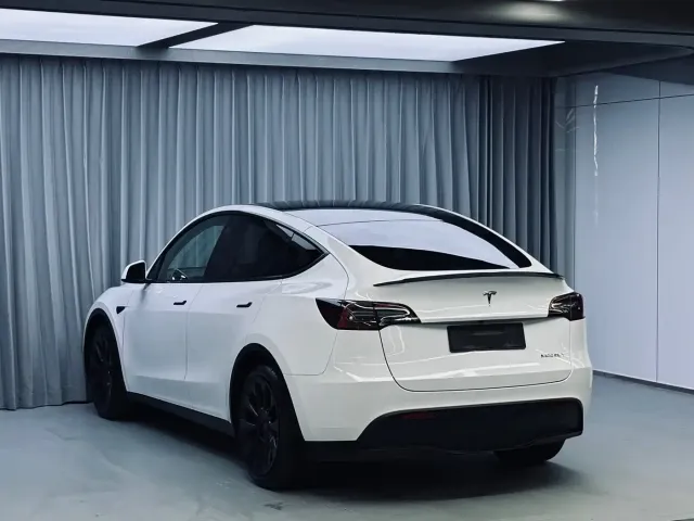 Tesla Model Y — Фото автомобиля 4