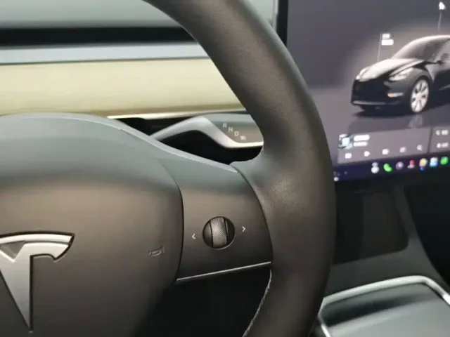 Tesla Model Y — Фото автомобиля 13