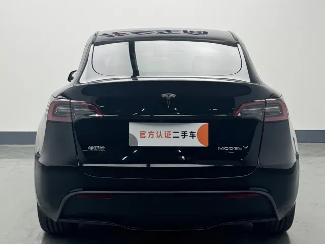 Tesla Model Y — Фото автомобиля 6