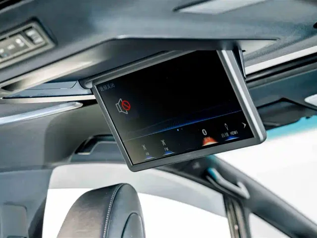 Lexus LM — Фото автомобиля 29